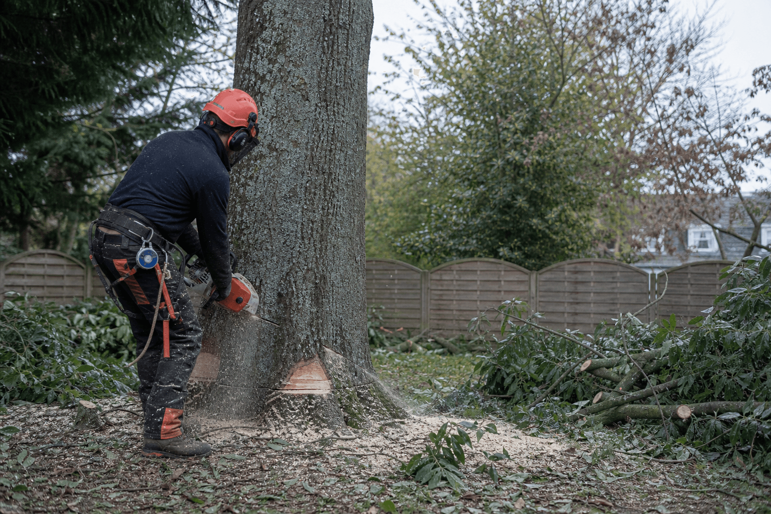 Abattage d'un arbre à la tronçonneuse dans un jardin