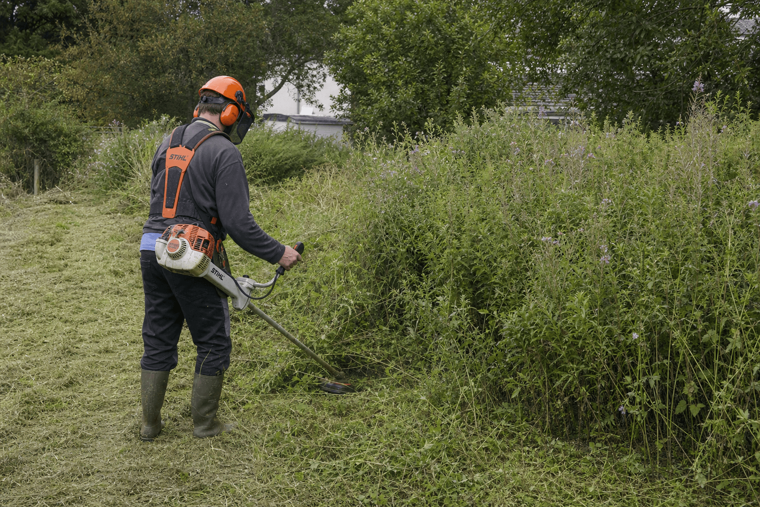 Débroussaillage d'un terrain envahi à la débroussailleuse