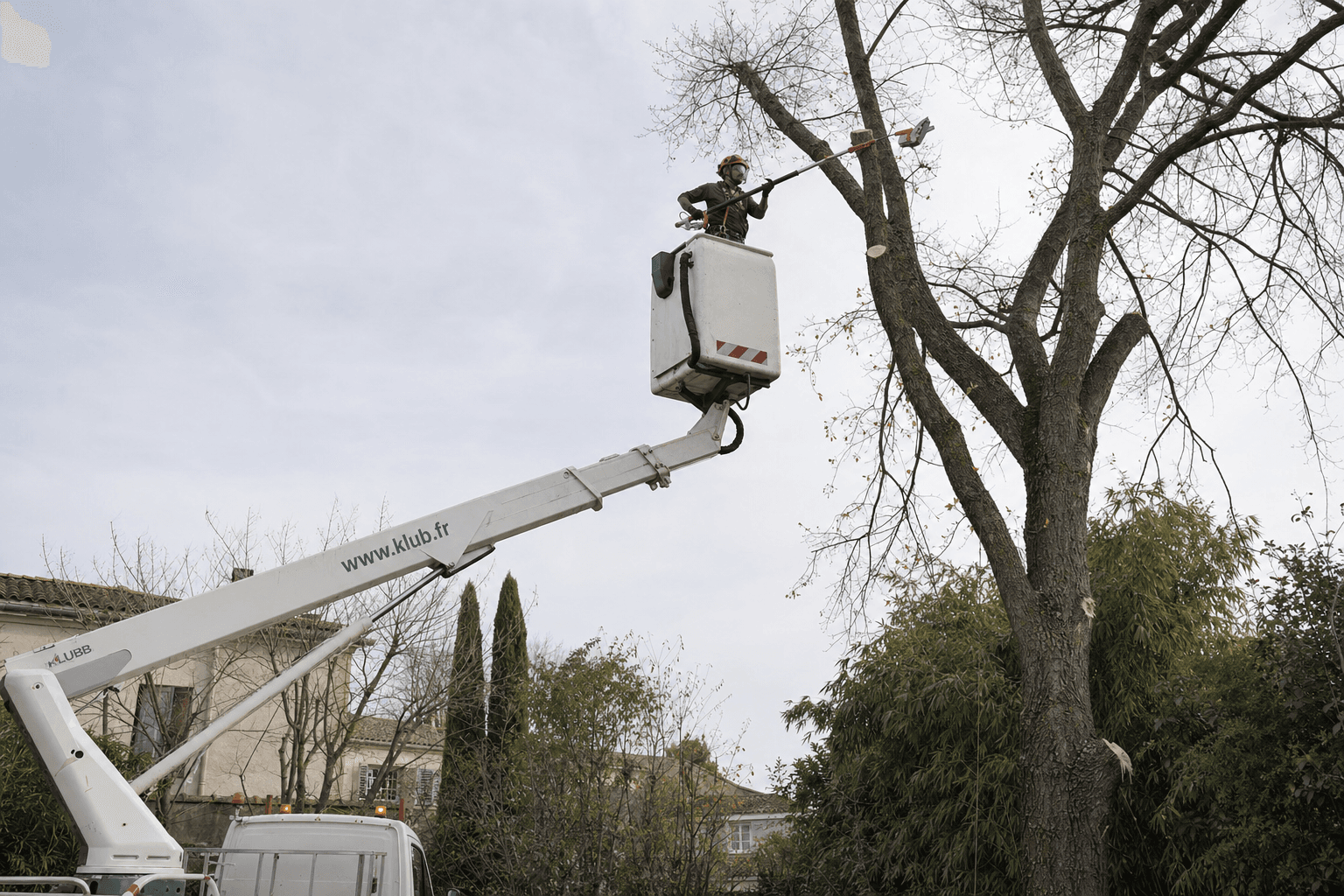Élagueur travaillant depuis un camion nacelle dans un arbre